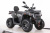 Квадроцикл MOTAX GRIZLIK T250 PRO Квадроцикл MOTAX GRIZLIK T250 PRO
