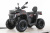 Квадроцикл MOTAX GRIZLIK T250 BASIC Квадроцикл MOTAX GRIZLIK T250 BASIC