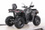 Квадроцикл MOTAX GRIZLIK T250 PRO Квадроцикл MOTAX GRIZLIK T250 PRO
