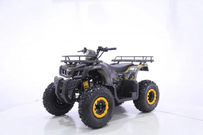 Квадроцикл MOTAX GRIZLIK T200