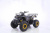 Квадроцикл MOTAX GRIZLIK T200