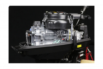 Лодочный мотор Suzuki DT15AS/L