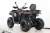 Квадроцикл MOTAX GRIZLIK T250 BASIC Квадроцикл MOTAX GRIZLIK T250 BASIC