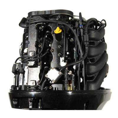 Лодочный мотор Parsun F100FEL-T-EFI (:Наклейки 80, 85 в подарок:)