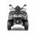 Квадроцикл GLADIATOR F200 LUX серый с псм Квадроцикл GLADIATOR F200 LUX серый с псм
