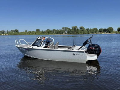 Моторная лодка Realcraft 510 NS