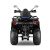 Квадроцикл GLADIATOR F200 LUX черный с псм Квадроцикл GLADIATOR F200 LUX черный с псм