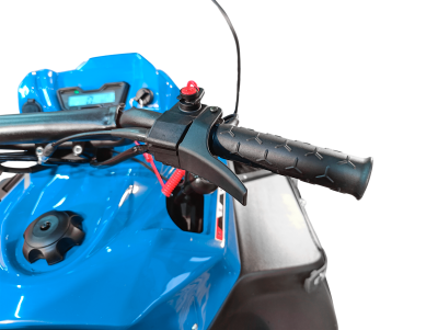Снегоход утилитарный IRBIS SK500 EFI