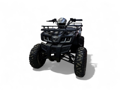 Квадроцикл MOTAX GRIZLIK T200