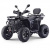 Квадроцикл MOTAX GRIZLIK W200 LUX 2025 New Квадроцикл MOTAX GRIZLIK W200 LUX 2025 New