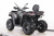 Квадроцикл MOTAX GRIZLIK T250 PRO Квадроцикл MOTAX GRIZLIK T250 PRO