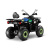 Квадроцикл GLADIATOR F200 LUX черный с псм Квадроцикл GLADIATOR F200 LUX черный с псм